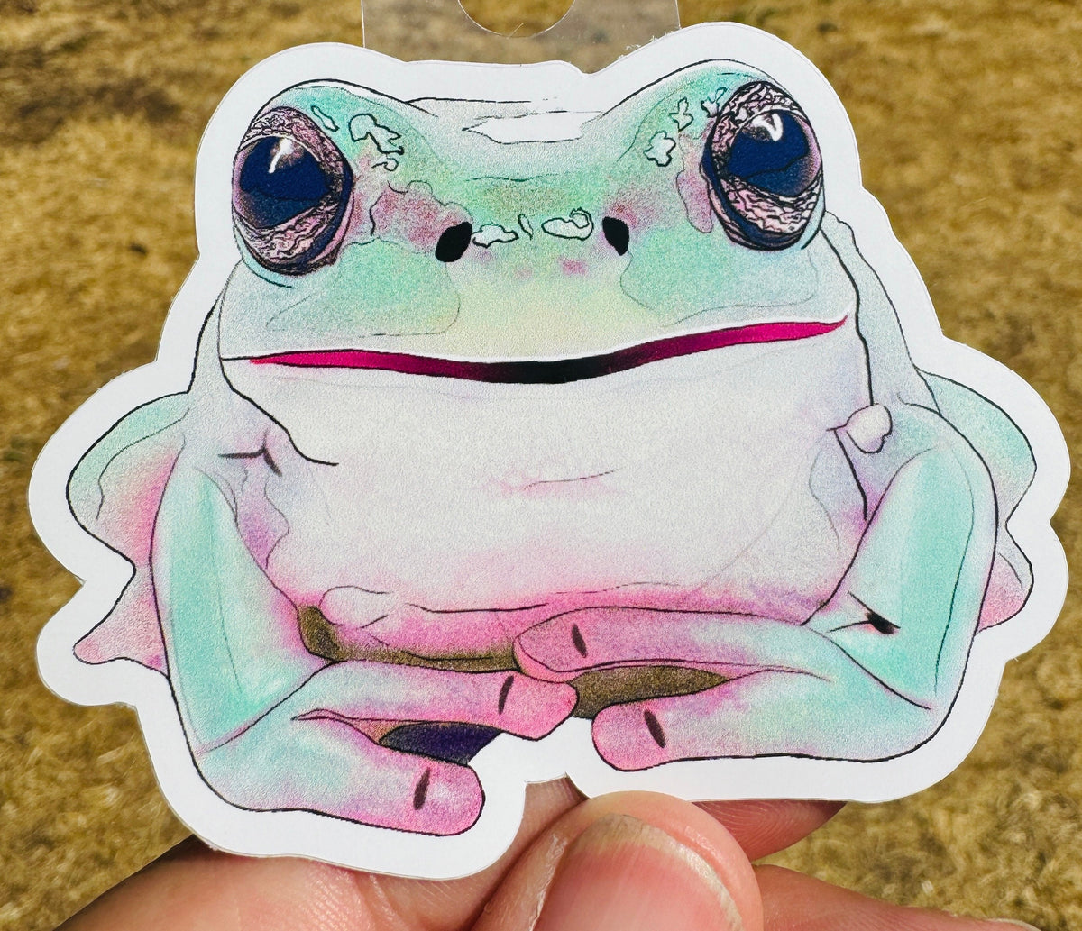Whites Tree Frog Sticker