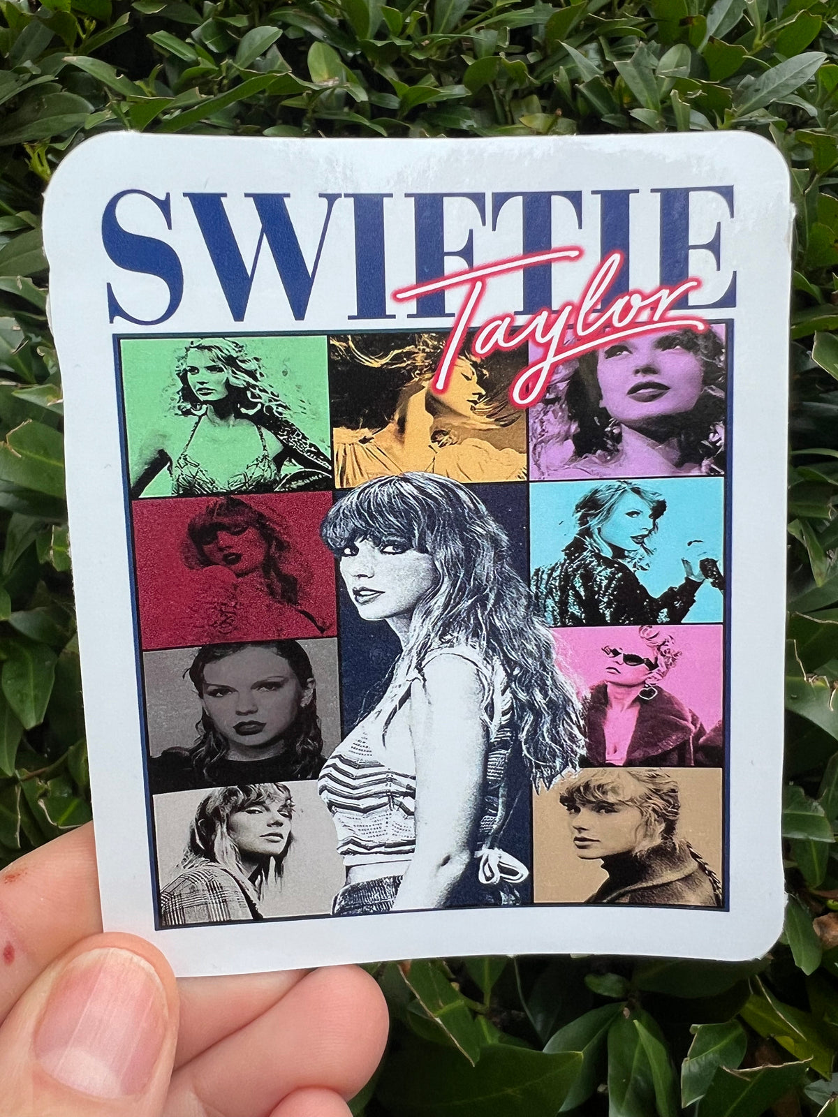 Taylor Swift Sticker Pack