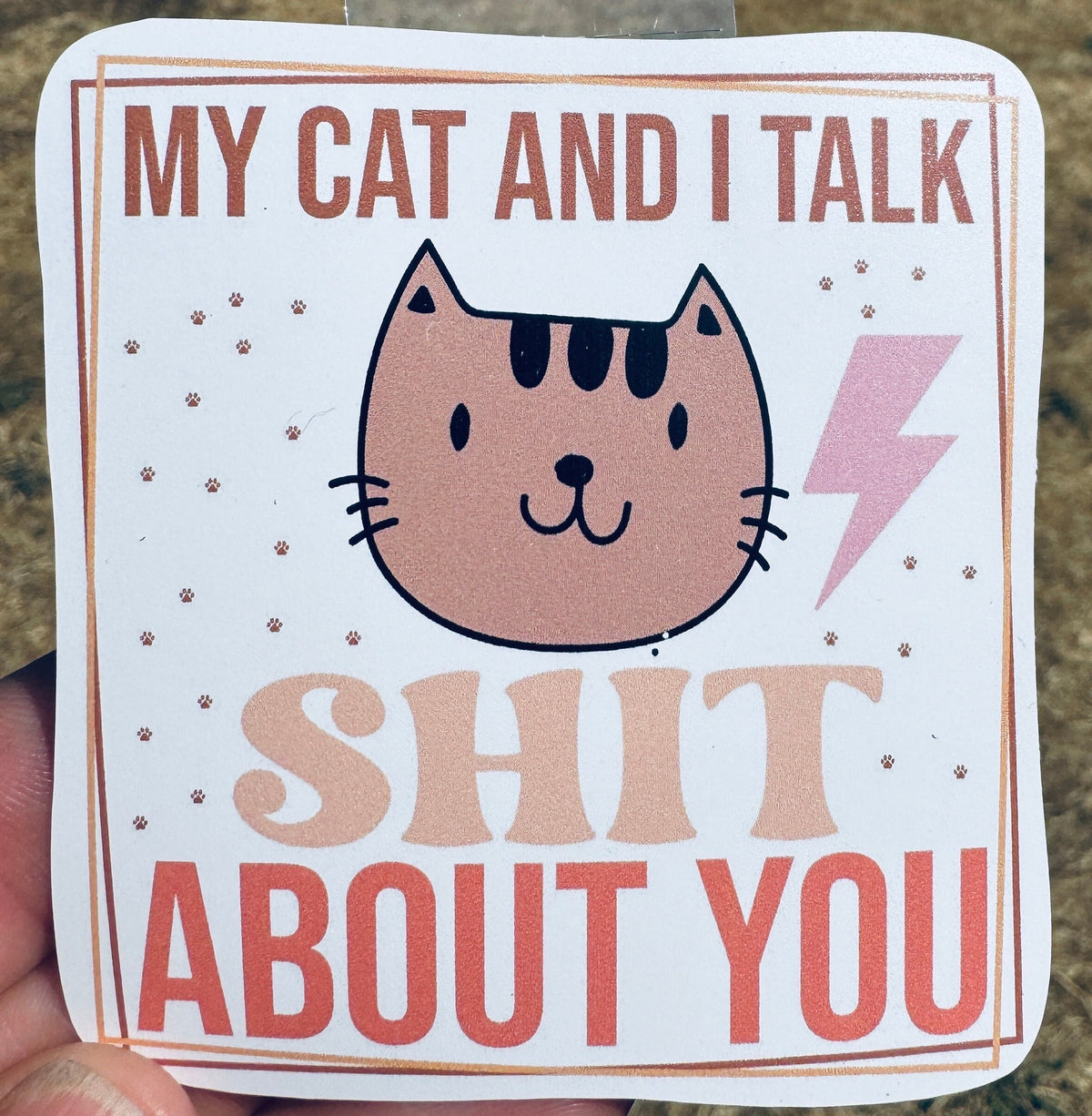 My Cat and I Talk Shit Sticker