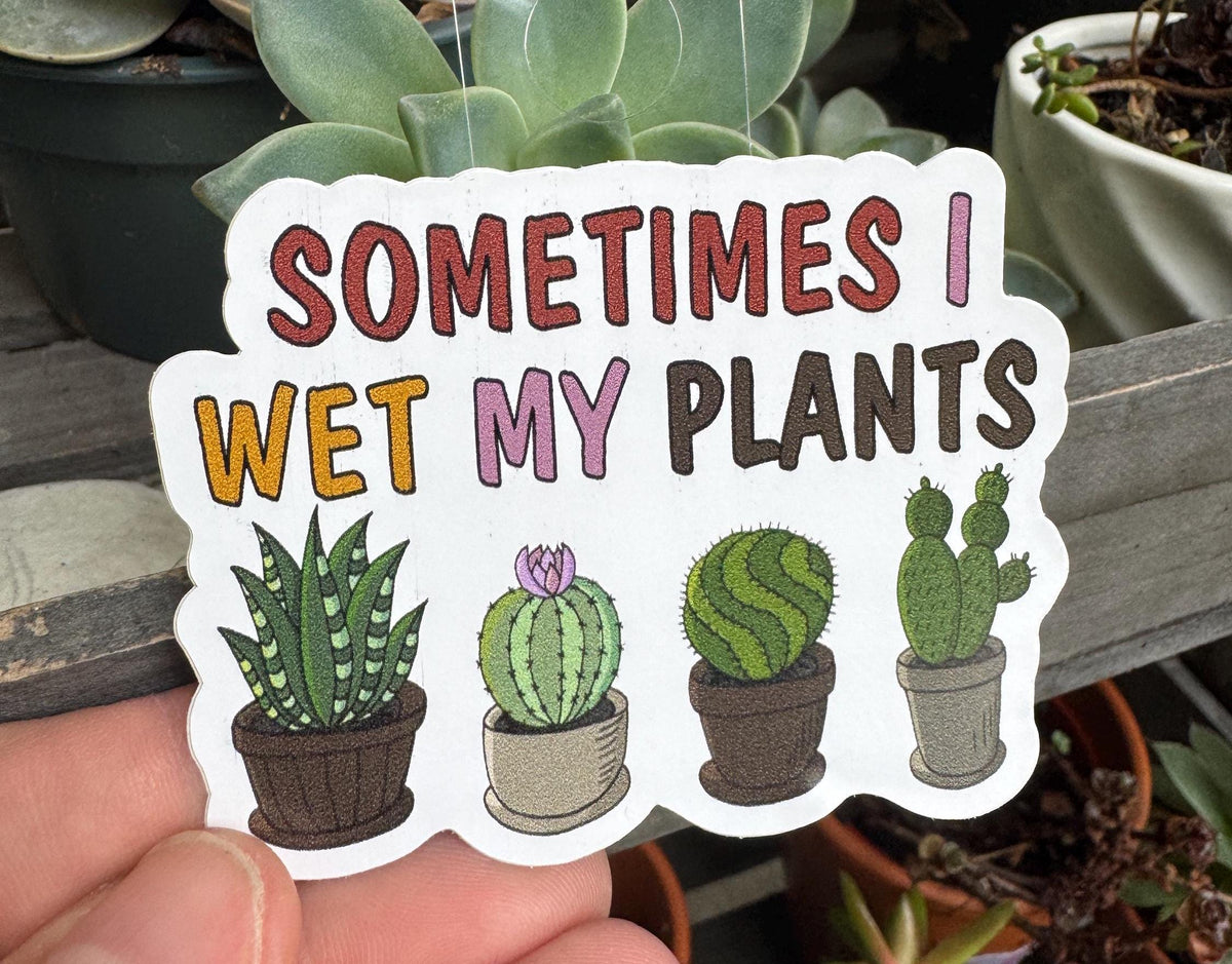 Sometimes I Wet My Plants Sticker | Funny Plant Lover Vinyl Decal | Cute Cactus & Succulent Waterproof Sticker | Plant Mom Gift