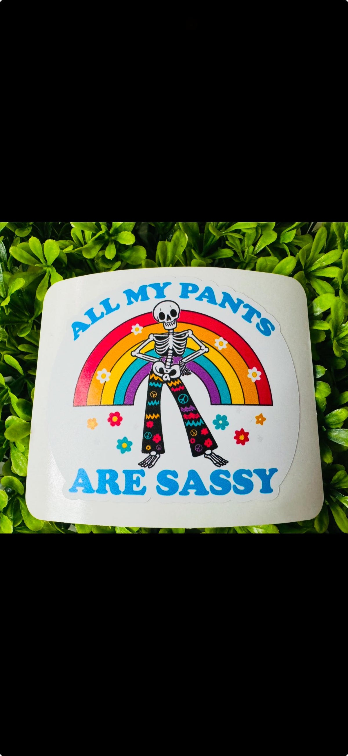 All My Pants Are Sassy Sticker | Funny Rainbow Vinyl Sticker | Cute Sarcastic Waterproof Decal
