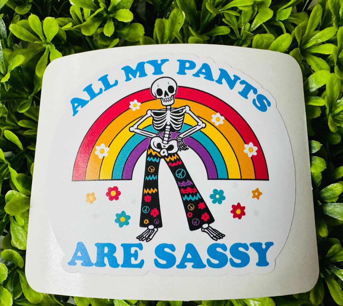 All My Pants Are Sassy Sticker | Funny Rainbow Vinyl Sticker | Cute Sarcastic Waterproof Decal